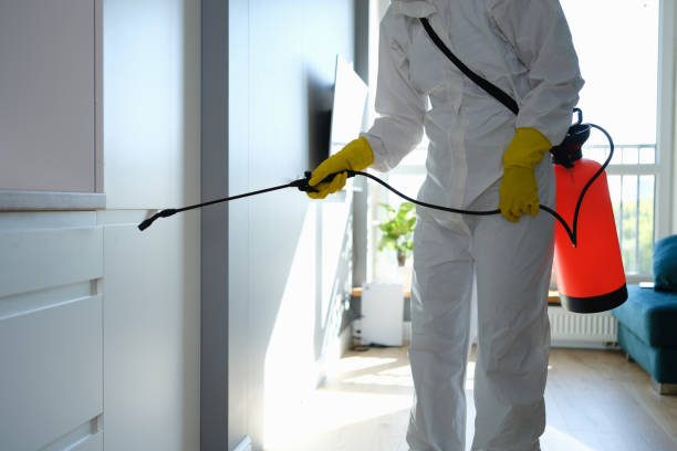 Best Residential Mold Remediation in Hempstead, TX